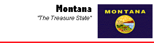 Montana flag and motto