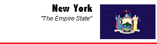 New York flag and motto