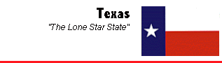 Texas flag and motto
